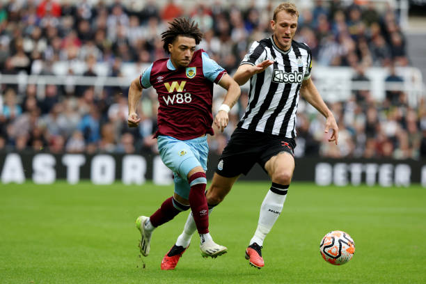 队中不可或 队中不可或