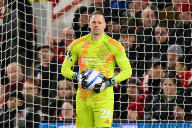 到了职业联 到了职业联